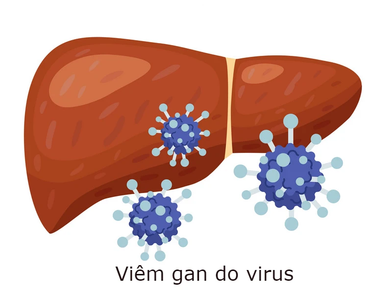 viem-gan-virus.webp